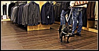 Cani  all'Outlet  17  -  2012