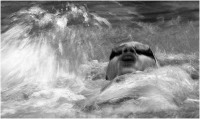 2015 - Nuoto 10
