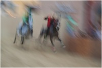 2015 - Palio 3