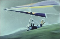 1978 - Volando