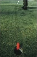 1984 - Golf