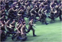 1994 - Folgore