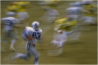 1995 - Il numero 80