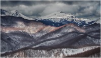 2020 - Inverno 20.01