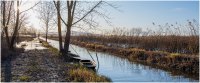 2025 - Padule
