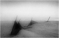 1978 - Inverno sul mare 2