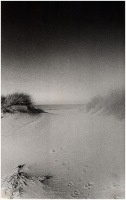 1978 - Inverno sul mare 4
