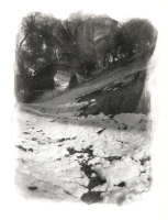 1990 - Ulivi 1