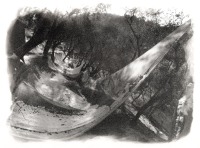 1990 - Ulivi 2