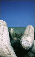 2002 - Mare Rimini